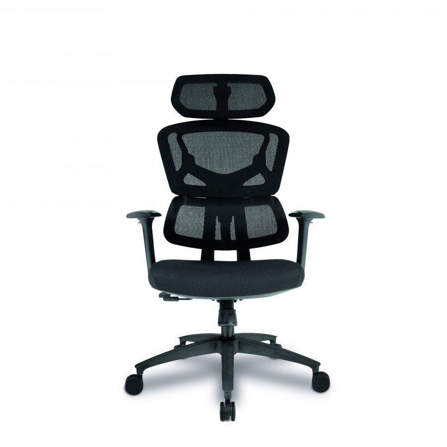 Trinity Ergonomic High Back Mesh Chair